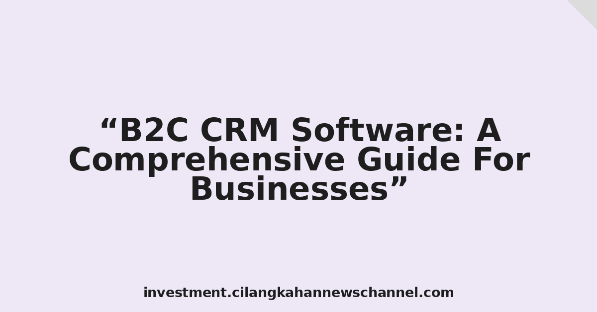 B2C CRM Software: A Comprehensive Guide For Businesses