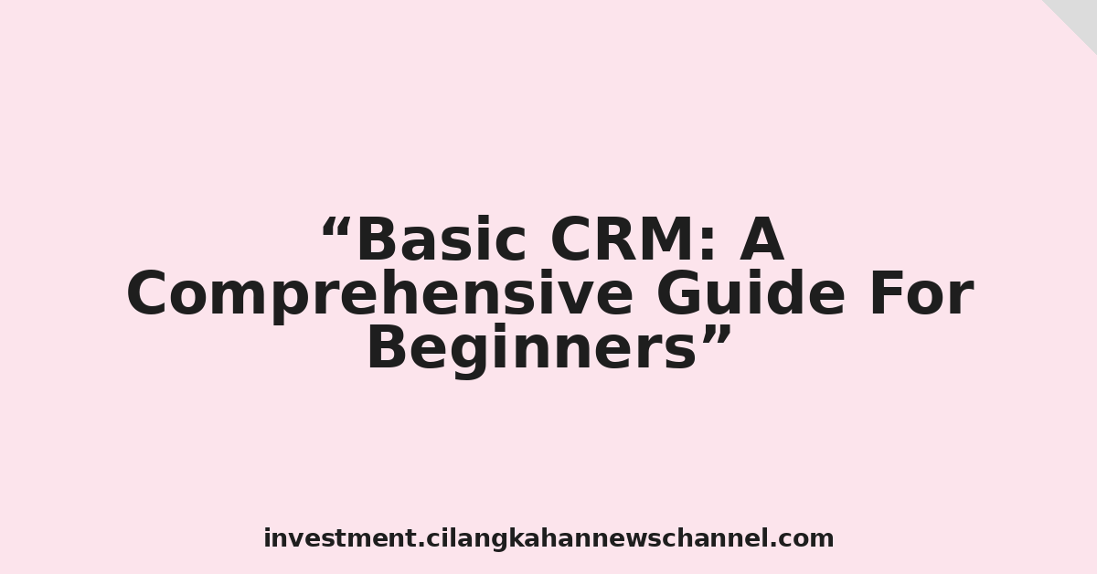 Basic CRM: A Comprehensive Guide For Beginners