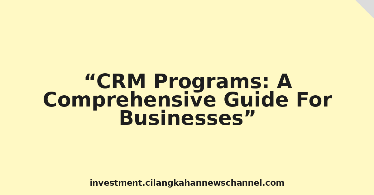 CRM Programs: A Comprehensive Guide For Businesses