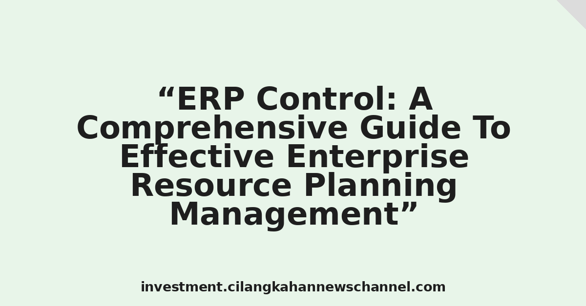 ERP Control: A Comprehensive Guide To Effective Enterprise Resource Planning Management