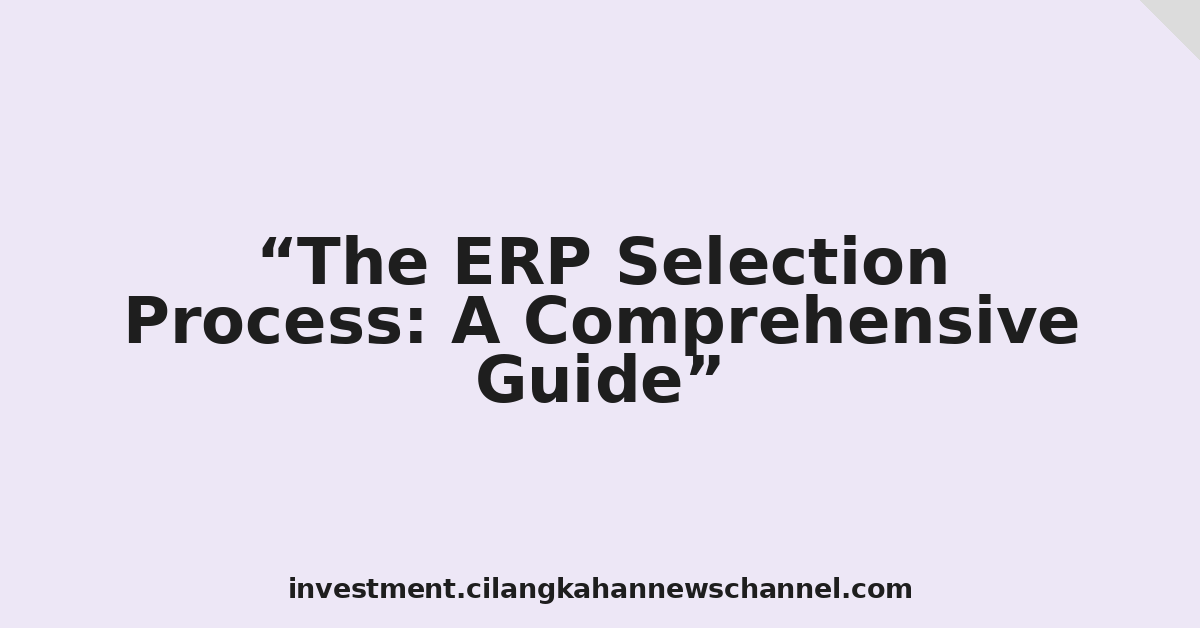 The ERP Selection Process: A Comprehensive Guide